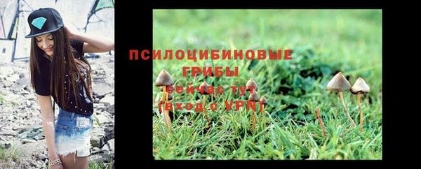 дмт Арсеньев